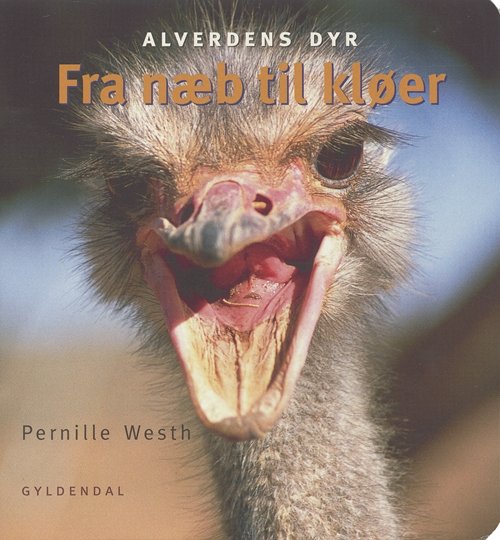 Cover for Pernille Westh · Fra næb til kløer (Cardboard Book) [1. Painos] (2004)
