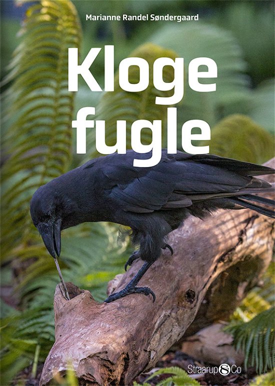 Cover for Marianne Randel Søndergaard · Midi: Kloge fugle (Hardcover bog) [2. udgave] (2019)