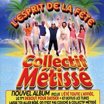 Cover for Collectif Metisse · Lesprit De La Fete (CD) (2010)
