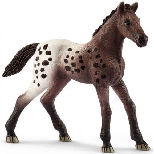 Cover for Schleich · Schleich: Puledro Appaloosa (MERCH) (2019)