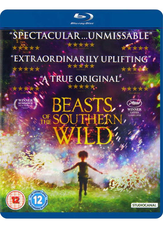 Cover for Beasts of the Southern Wild (B · Beasts Of The Southern Wild (Blu-Ray) (2013)