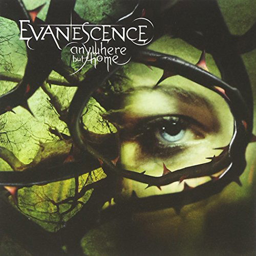 Anywhere but Home - Evanescence - Elokuva - BMG - 5099720275374 - maanantai 22. marraskuuta 2004