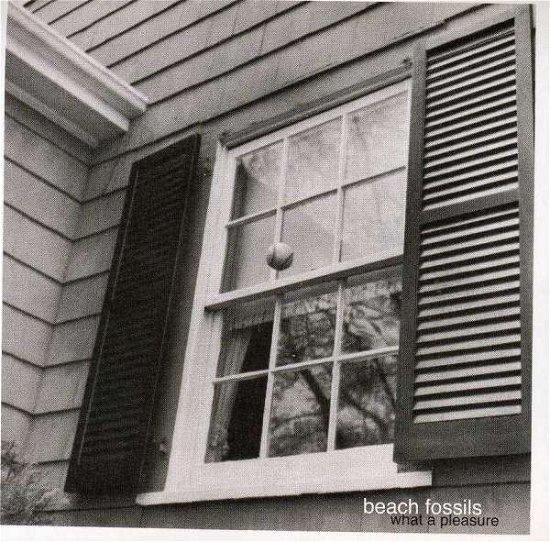 Cover for Beach Fossils · What a Pleasure (CD) (2011)