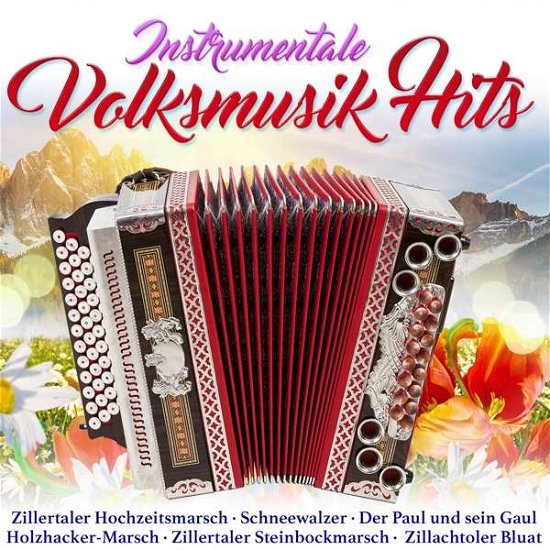 Cover for Instrumentale Volksmusikhits (CD) (2019)