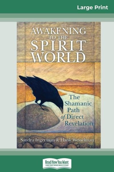 Cover for Sandra Ingerman · Awakening to the Spirit World (Paperback Book) (2010)