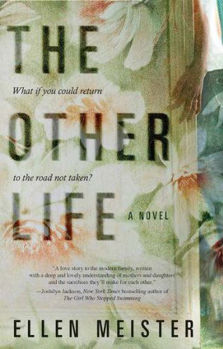 Cover for Ellen Meister · The Other Life (Paperback Book) [Reprint edition] (2011)