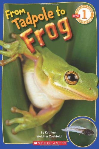 Cover for Kathleen Weidner Zoehfeld · From Tadpole to Frog (Scholastic Reader, Level 1) - Scholastic Reader, Level 1 (Paperback Book) [1.2.2011 edition] (2011)