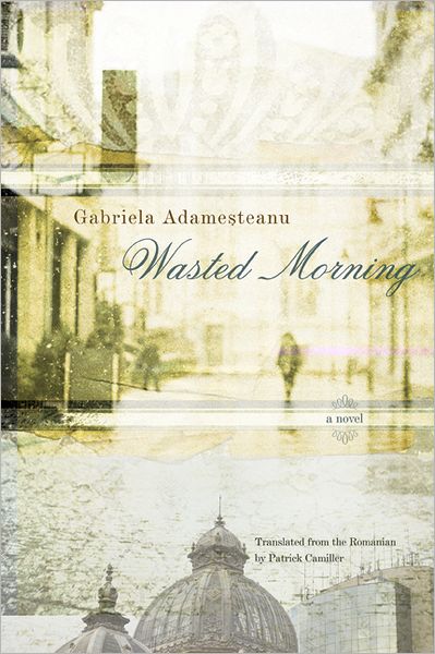 Cover for Gabriela Adamesteanu · Wasted Morning (Hardcover Book) (2011)