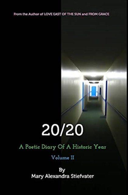 Cover for Mary Alexandra Stiefvater · 20/20 (Volume II) (Hardcover Book) (2021)
