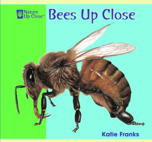 Cover for Katie Franks · Bees Up Close (Nature Up Close) (Hardcover Book) (2008)