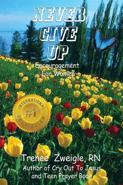 Cover for Rn Trenee Zweigle · Never Give Up: Hope and Encouragement Book for Women (Paperback Bog) (2013)