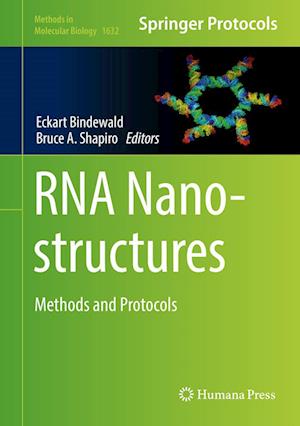 RNA Nanostructures - - Books - Humana Press Inc. - 9781493971374 - July 21, 2017