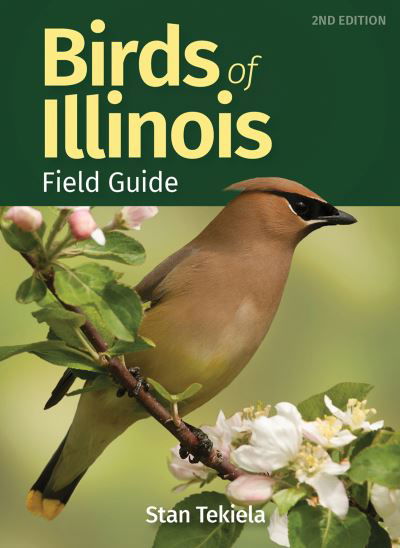 Birds of Illinois Field Guide - Bird Identification Guides - Stan Tekiela - Books - Adventure Publications, Incorporated - 9781647552374 - June 23, 2022