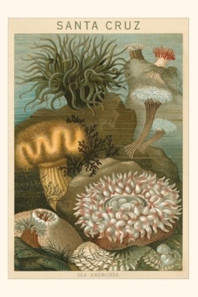 Cover for Found Image Press · Vintage Journal Sea Anemones, Santa Cruz, California (Book) (2022)