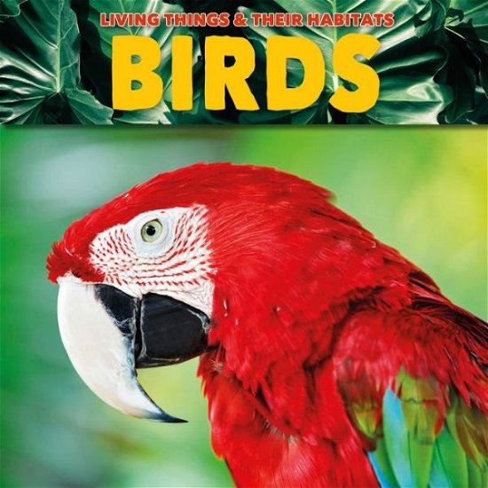 Cover for Grace Jones · Birds (Paperback Bog) (2019)