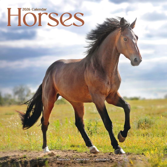 Cover for Horses Calendar 2026  Square Horses Wall Calendar - 16 Month (Calendar) (2025)