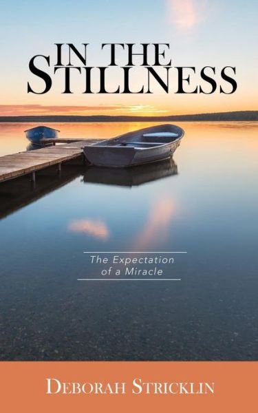 Cover for Deborah Stricklin · In the Stillness (Paperback Book) (2016)