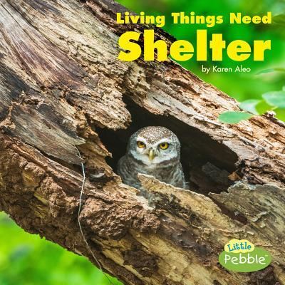 Cover for Karen Aleo · Living Things Need Shelter (Book) (2019)