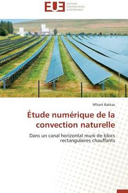 Cover for M'bark Bakkas · Étude Numérique De La Convection Naturelle: Dans Un Canal Horizontal Muni De Blocs Rectangulaires Chauffants (Paperback Book) [French edition] (2018)