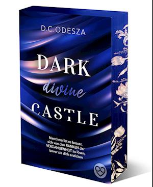 Cover for D.C. Odesza · DARK divine CASTLE (Book) (2024)