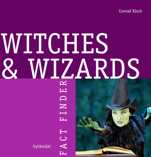 Cover for Conrad Kisch · Fact Finder: Witches and Wizards (Sewn Spine Book) [1.º edición] (2012)