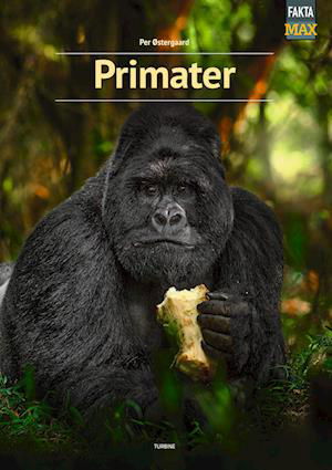 Cover for Per Østergaard · Fakta Max: Primater (Hardcover bog) [1. udgave] (2023)