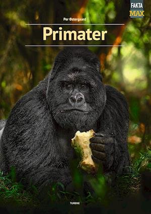 Cover for Per Østergaard · Fakta Max: Primater (Hardcover Book) [1.Âº edición] (2023)