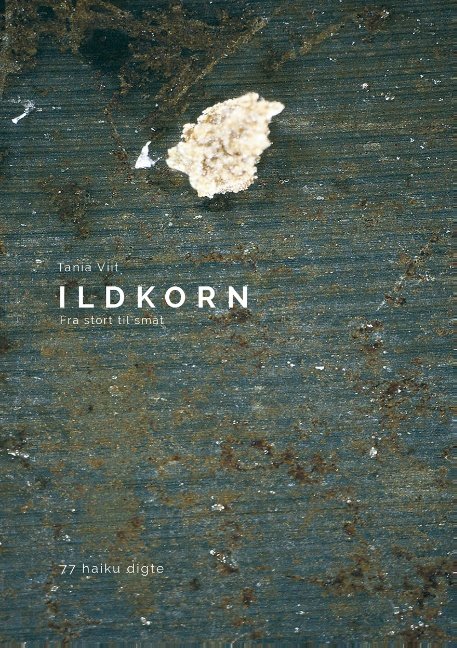 Cover for Tania Viit · Ildkorn (Paperback Bog) [1. udgave] (2014)