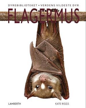 Cover for Kate Riggs · Flagermus (Bound Book) [1st edition] (2023)