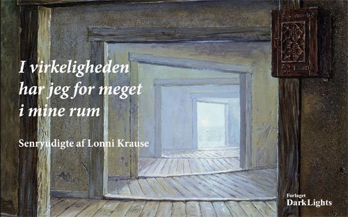 Cover for Lonni Krause · I virkeligheden har jeg for meget i mine rum (Bok) (2011)