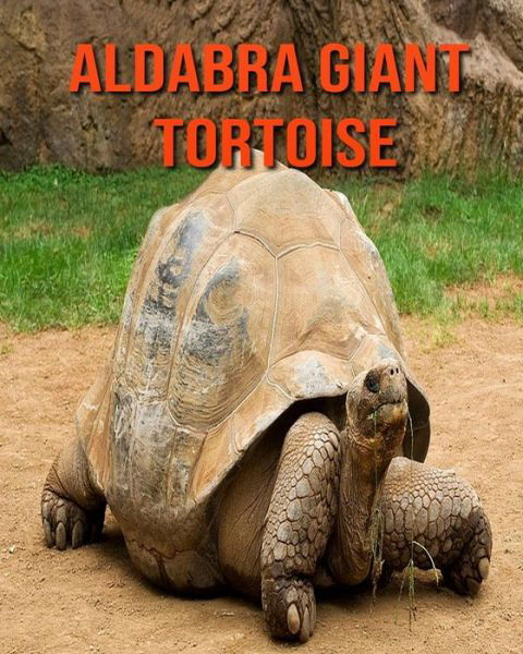Cover for Kayla Miller · Aldabra Giant Tortoise (Taschenbuch) (2020)