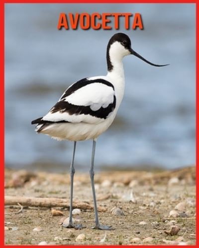 Cover for Linda Davis · Avocetta: Fatti di apprendimento divertenti sui Avocetta (Paperback Book) (2021)