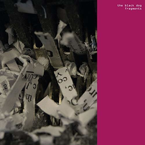 Cover for Black Dog · Fragments (CD) (2020)