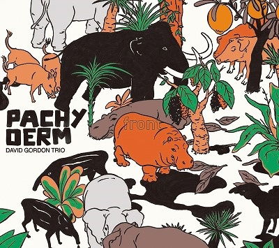 Cover for David Trio Gordon · Pachyderm (CD) (2022)