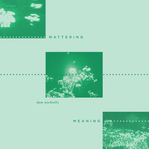 Cover for Dan Nicholls · Mattering And Meaning (LP) (2022)