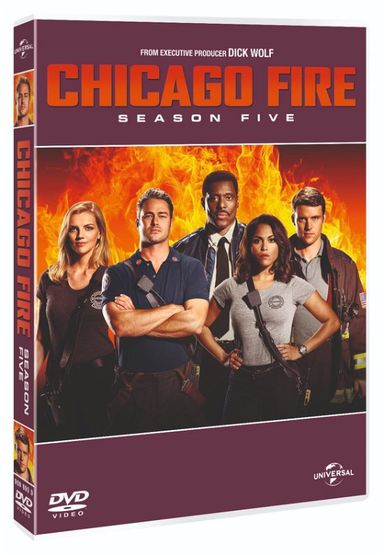Cover for Chicago Fire · Chicago Fire - Season 5 (DVD) (2018)