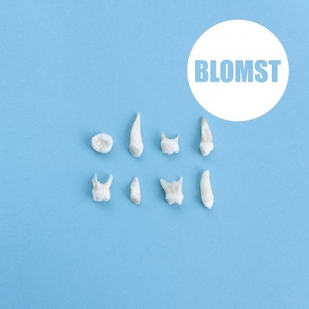 Blomst - Blomst - Music - NAME MUSIC - 7090014390375 - June 8, 2015