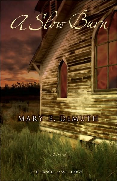Cover for Mary E DeMuth · A Slow Burn: A Compelling Southern Tale of Loss and Redemption - Defiance Texas Trilogy (Paperback Book) (2009)