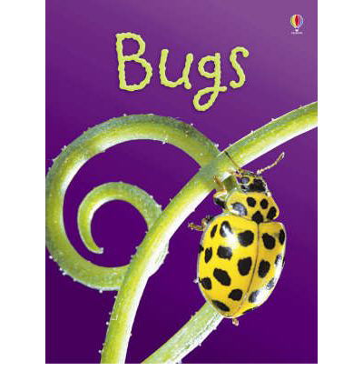 Bugs - Beginners - Lucy Bowman - Livros - Usborne Publishing Ltd - 9780746080375 - 27 de julho de 2007