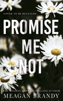 Promise Me Not: The brand-new angsty slow-burn romance following Tiktok sensation SAY YOU SWEAR! - Boys of Avix - Meagan Brandy - Books - Orion Publishing Co - 9781398723375 - October 10, 2024
