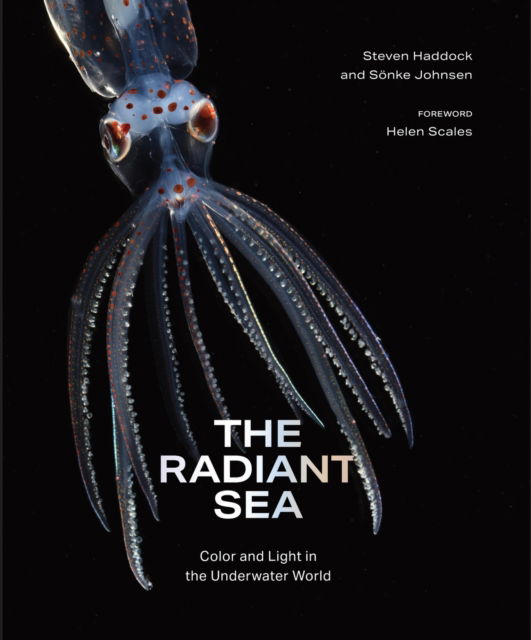 Cover for Steven Haddock · The Radiant Sea: Color and Light In the Underwater World (Hardcover Book) (2025)