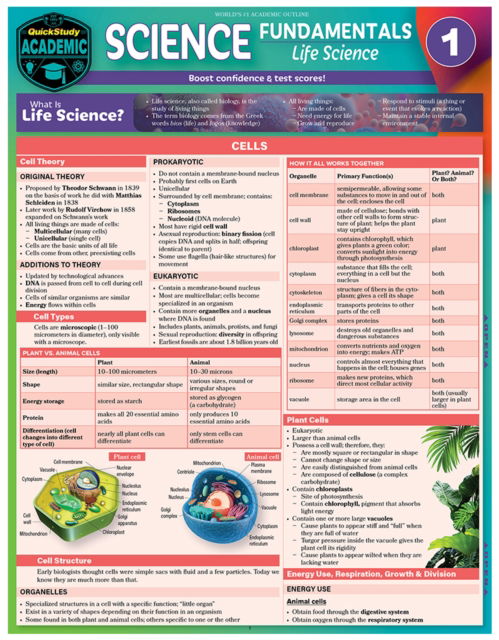 Science Fundamentals 1 - Cells, Plants & Animals - Gardner, MSc, MScEd, Jane Parks - Książki - Barcharts, Inc - 9781423249375 - 29 września 2023