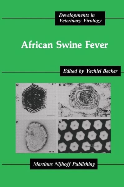 African Swine Fever - Developments in Veterinary Virology - Yechiel Becker - Books - Springer-Verlag New York Inc. - 9781461294375 - September 30, 2011