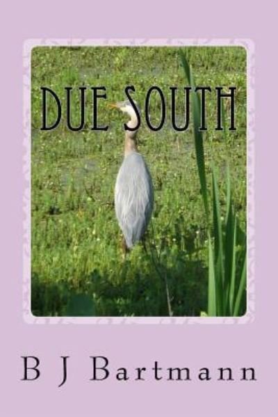 Cover for B J Bartmann · Due South (Pocketbok) (2017)