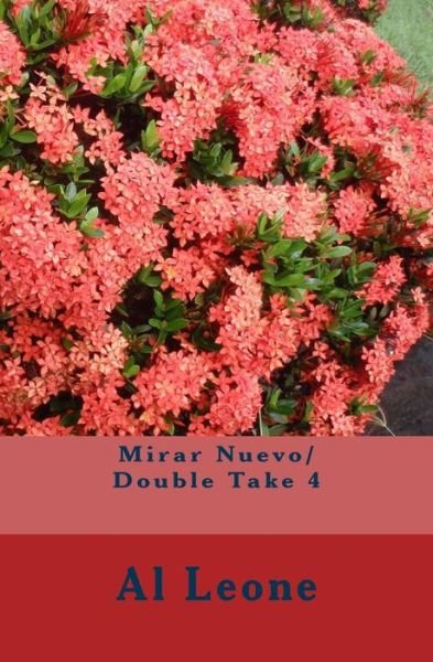 Cover for Al Leone · Mirar Nuevo/ Double Take 4 (Paperback Bog) (2017)