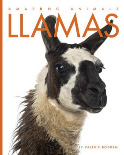 Cover for Valerie Bodden · Llamas (Hardcover Book) (2019)