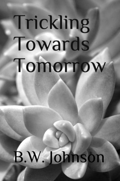 Cover for B W Johnson · Trickling Towards Tomorrow (Paperback Bog) (2018)