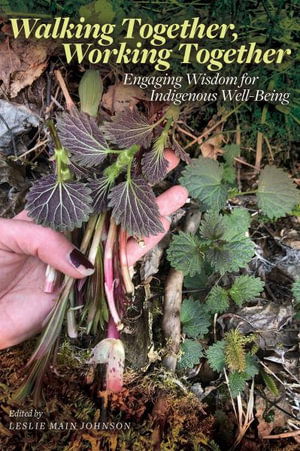 Cover for Walking Together, Working Together: Engaging Wisdom for Indigenous Well-Being - Patterns of Northern Traditional Healing Series (Paperback Book) (2023)