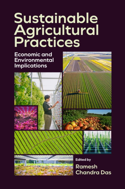 Sustainable Agricultural Practices: Economic and Environmental Implications (Hardcover Book) (2024)