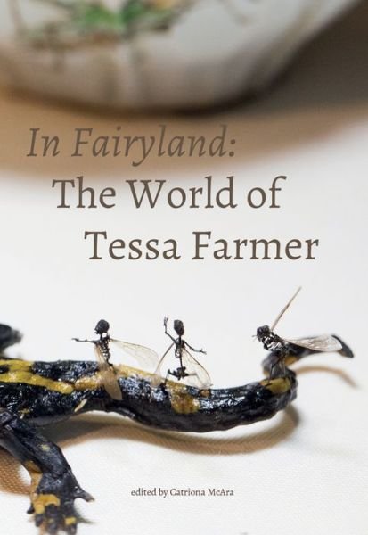 Cover for Catriona Mcara · In Fairyland: The World of Tessa Farmer - In Fairyland (Pocketbok) (2016)